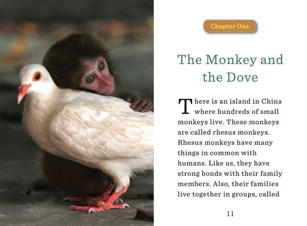 Produktbild: Holland, J: Monkey and the Dove