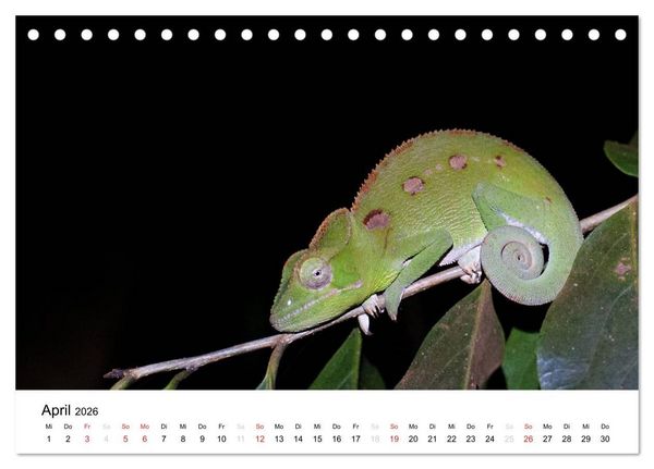 Produktbild: Traumwelt Madagaskar (Tischkalender 2026 DIN A5 quer), CALVENDO Monatskalender