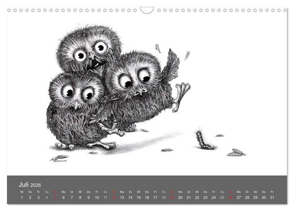 Produktbild: owls & friends 2026 (Wandkalender 2026 DIN A3 quer), CALVENDO Monatskalender
