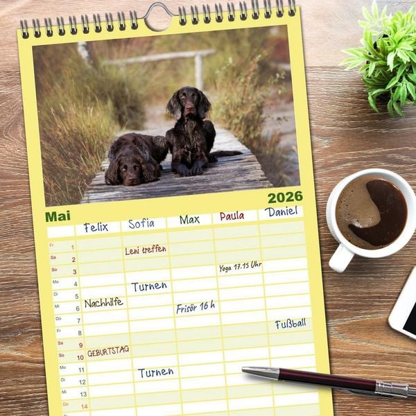 Produktbild: Familienplaner 2026 - Passion Jagdhund - Deutsch Langhaar mit 5 Spalten (Wandkalender, 21 x 45 cm) CALVENDO