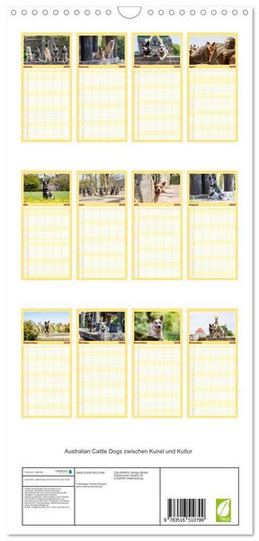 Produktbild: Familienplaner 2026 - Australian Cattle Dogs zwischen Kunst und Kultur mit 5 Spalten (Wandkalender, 21 x 45 cm) CALVENDO