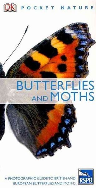 Produktbild: Butterflies and Moths