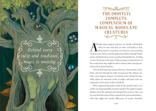 Produktbild: How to Spot a Magical Woodland Creature