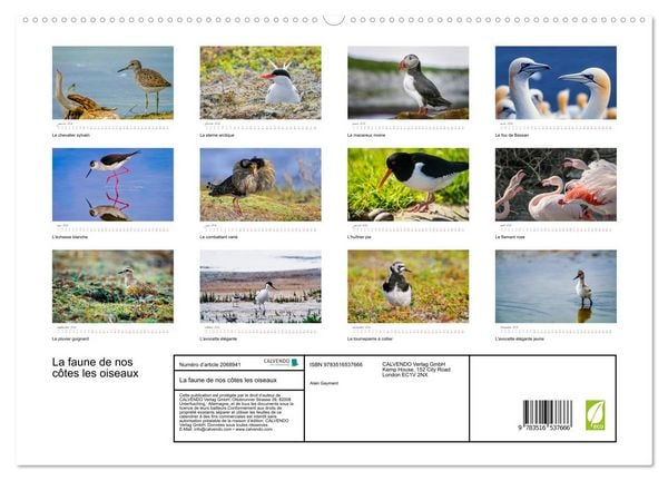 Produktbild: La faune de nos c&ocirc;tes les oiseaux (Calendrier mural 2026 DIN A2 vertical) calendrier de bureau