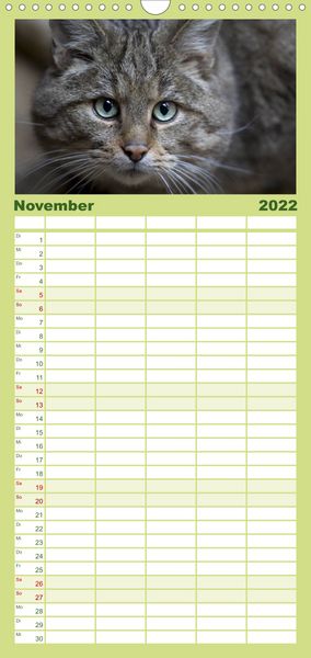 Produktbild: Familienplaner Weltnaturerbe Hainich (Wandkalender 2022 , 21 cm x 45 cm, hoch)
