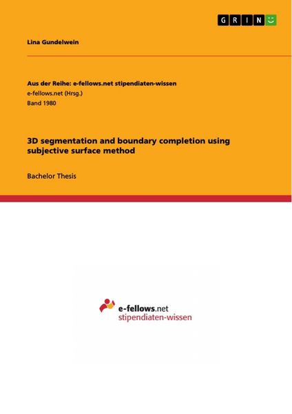 Produktbild: 3D segmentation and boundary completion using subjective surface method
