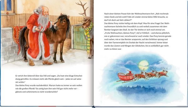 Produktbild: Das Weihnachtspony