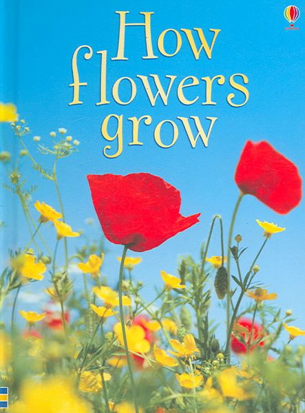 Produktbild: How Flowers Grow