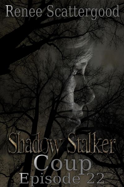 Produktbild: Shadow Stalker: Coup (Episode 22)