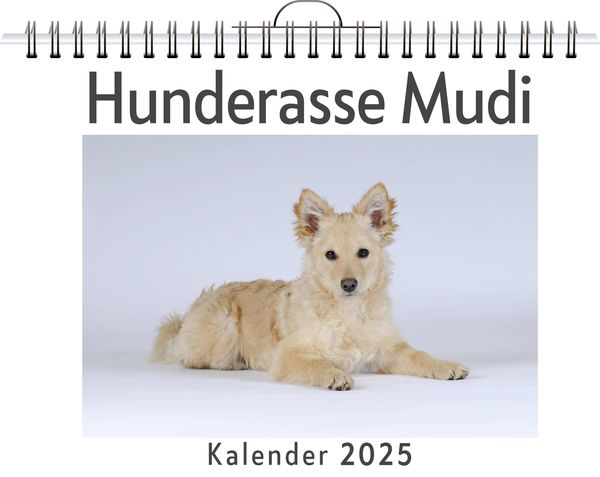 Produktbild: Hunderasse Mudi