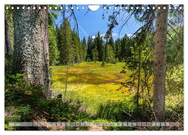 Produktbild: Vogtland - Farben einer Landschaft (Wandkalender 2026 DIN A4 quer), CALVENDO Monatskalender