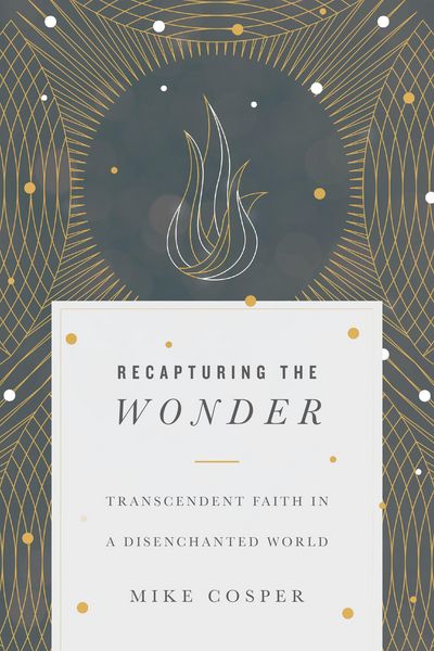 Produktbild: Recapturing the Wonder