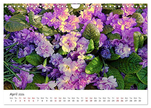 Produktbild: Vivacious Florals (Wall Calendar 2026 DIN A4 landscape), CALVENDO 12 Month Wall Calendar