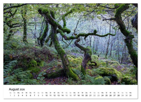 Produktbild: Magie der W&auml;lder Britanniens (Wandkalender 2026 DIN A4 quer), CALVENDO Monatskalender