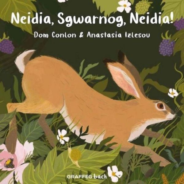 Produktbild: Neidia, Sgwarnog, Neidia!