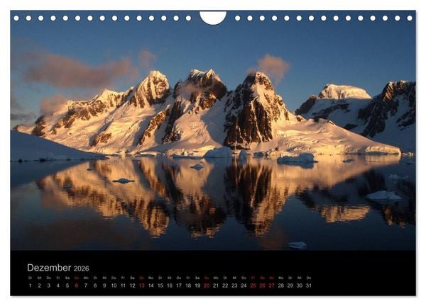 Produktbild: Antarktische Impressionen (Wandkalender 2026 DIN A4 quer), CALVENDO Monatskalender