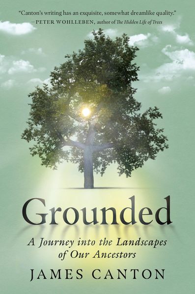 Produktbild: Grounded