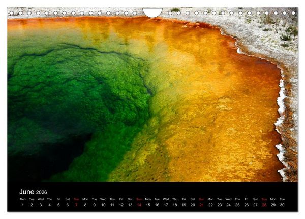 Produktbild: The Yellowstone National Park (Wall Calendar 2026 DIN A4 landscape), CALVENDO 12 Month Wall Calendar