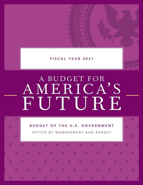 Produktbild: Budget for America's Future