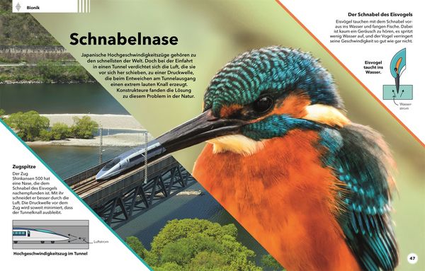 Produktbild: Tierisch clever