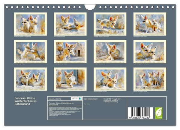 Produktbild: Fenneks. Kleine W&uuml;stenf&uuml;chse im Saharasand (Wandkalender 2027 DIN A4 quer), CALVENDO Monatskalender