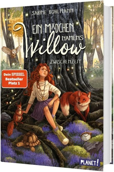 Produktbild: Ein M&auml;dchen namens Willow 6: Zwischenzeit