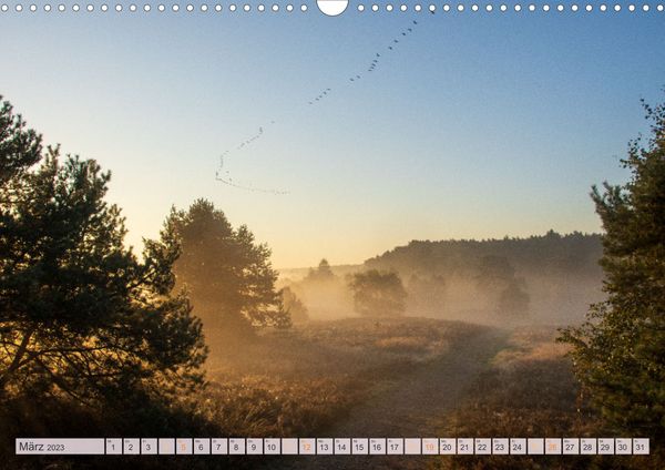 Wunderbare Heidelandschaften (Wandkalender 2023 DIN A3 quer)