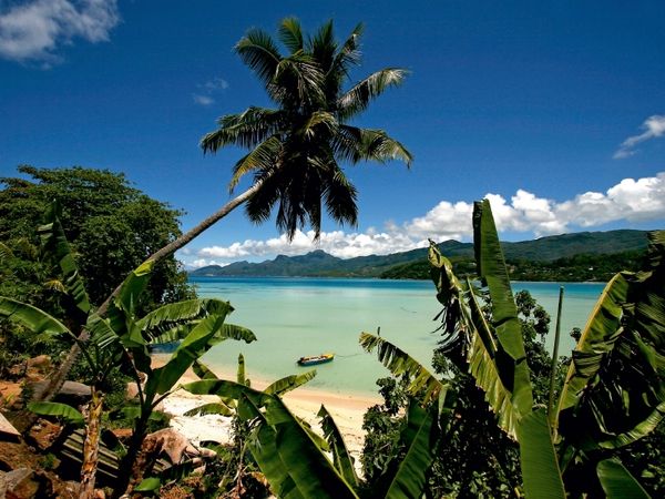 Produktbild: CALVENDO Puzzle Anse a la Mouche, Mahe, Seychellen | 1000 Teile Lege-Gr&ouml;&szlig;e 64x48cm Foto-Puzzle f&uuml;r gl&uuml;ckliche Stunden