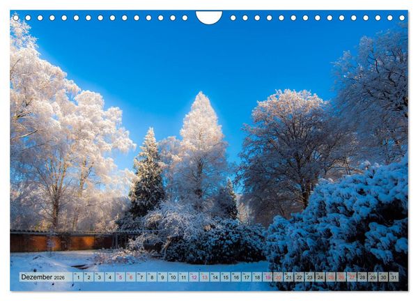 Produktbild: Schlossgarten Oldenburg. Ein Fotospaziergang (Wandkalender 2026 DIN A4 quer), CALVENDO Monatskalender