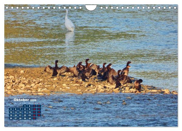 Produktbild: Herrliches Arno Tal - Wanderurlaub in der Toskana (Wandkalender 2026 DIN A4 quer), CALVENDO Monatskalender