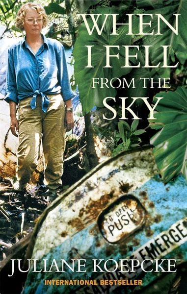 Produktbild: When I Fell From The Sky