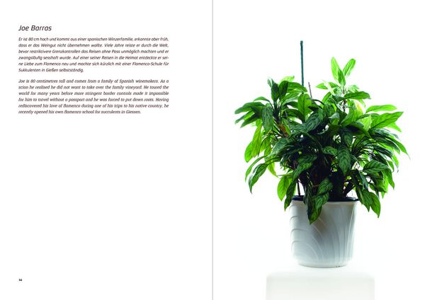 Produktbild: Urban Plants