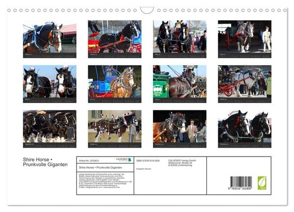 Produktbild: Shire Horse &bull; Prunkvolle Giganten (Wandkalender 2026 DIN A3 quer), CALVENDO Monatskalender