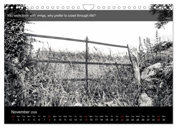 Produktbild: Through the Gate with Rumi (Wall Calendar 2026 DIN A4 landscape), CALVENDO 12 Month Wall Calendar