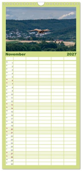 Produktbild: Familienplaner 2027 - Greifv&ouml;gel in Aktion - Dynamische Flugbilder und Portr&auml;ts mit 5 Spalten (Wandkalender, 21 x 45 cm) CALVENDO