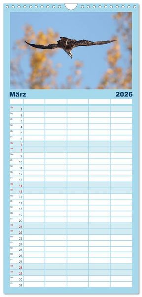 Produktbild: Familienplaner 2026 - Fischadler - Meister des Sturzfluges mit 5 Spalten (Wandkalender, 21 x 45 cm) CALVENDO