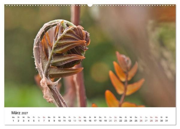 Produktbild: Paradies Naturgarten (Wandkalender 2027 DIN A2 quer), CALVENDO Monatskalender