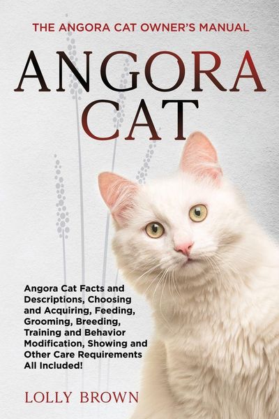 Produktbild: Angora Cat