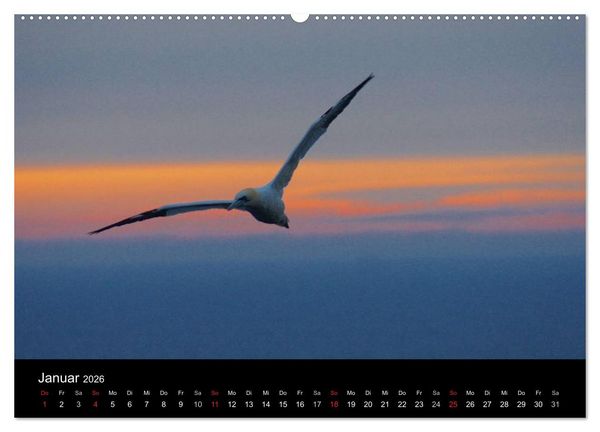 Produktbild: Abend in Helgoland (hochwertiger Premium Wandkalender 2026 DIN A2 quer), Kunstdruck in Hochglanz