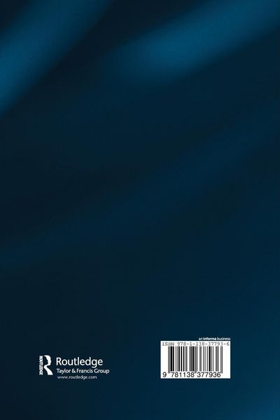 Produktbild: The Internet as Second Action Space