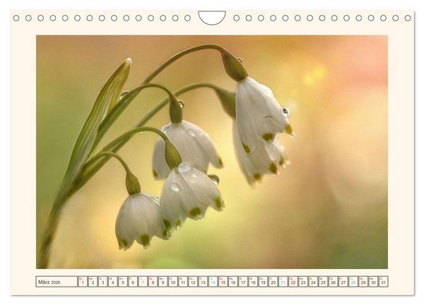 Produktbild: Unterwegs im Filstal (Wandkalender 2026 DIN A4 quer), CALVENDO Monatskalender