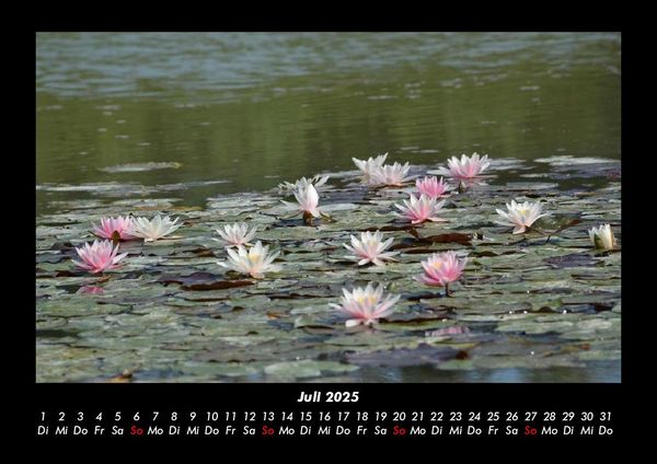 Produktbild: Seeblick 2025 Fotokalender DIN A3