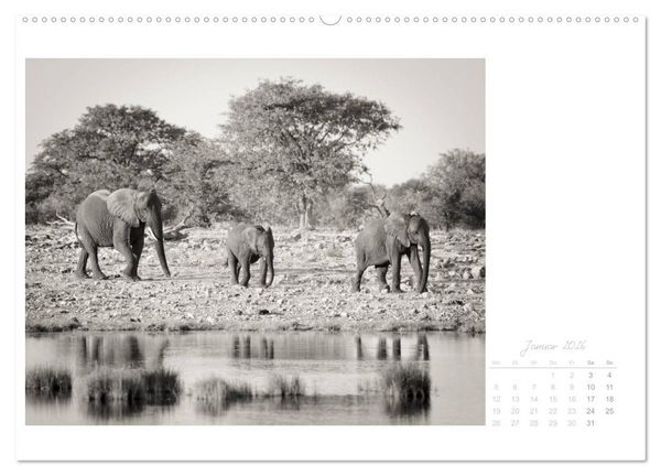 Produktbild: Elefanten in Etosha (hochwertiger Premium Wandkalender 2026 DIN A2 quer), Kunstdruck in Hochglanz