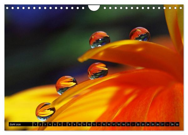 Produktbild: Wassertropfen - Diamanten des Lebens (Wandkalender 2026 DIN A4 quer), CALVENDO Monatskalender
