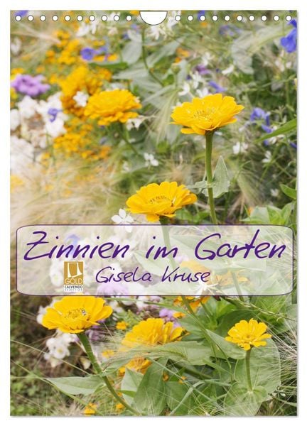 Produktbild: Zinnien im Garten (Wandkalender 2026 DIN A4 hoch), CALVENDO Monatskalender