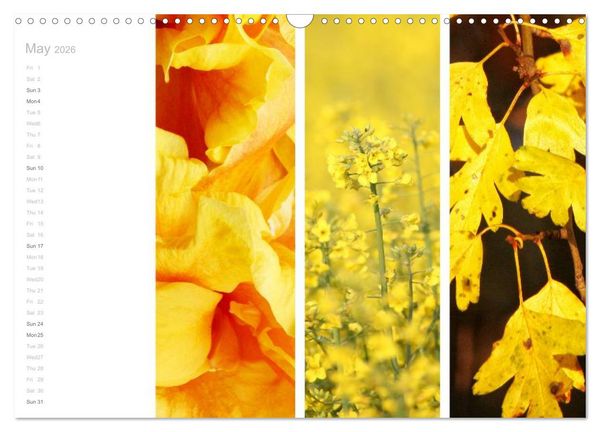 Produktbild: Natural Trios (Wall Calendar 2026 DIN A3 landscape), CALVENDO 12 Month Wall Calendar
