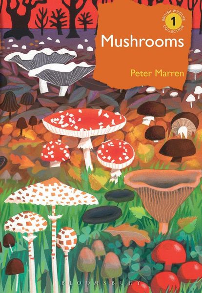 Produktbild: Mushrooms