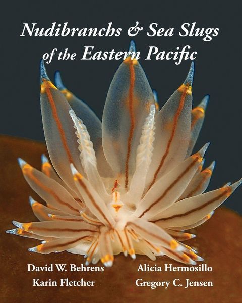 Produktbild: Nudibranchs & Sea Slugs of the Eastern Pacific