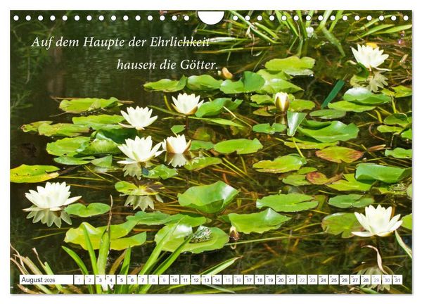 Produktbild: Stille. Japanische Gartenkunst und Weisheiten (Wandkalender 2026 DIN A4 quer), CALVENDO Monatskalender