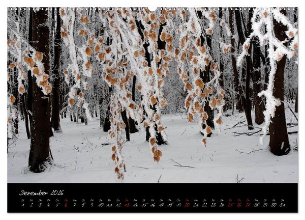 Produktbild: RH&Ouml;N = SCH&Ouml;N (hochwertiger Premium Wandkalender 2026 DIN A2 quer), Kunstdruck in Hochglanz